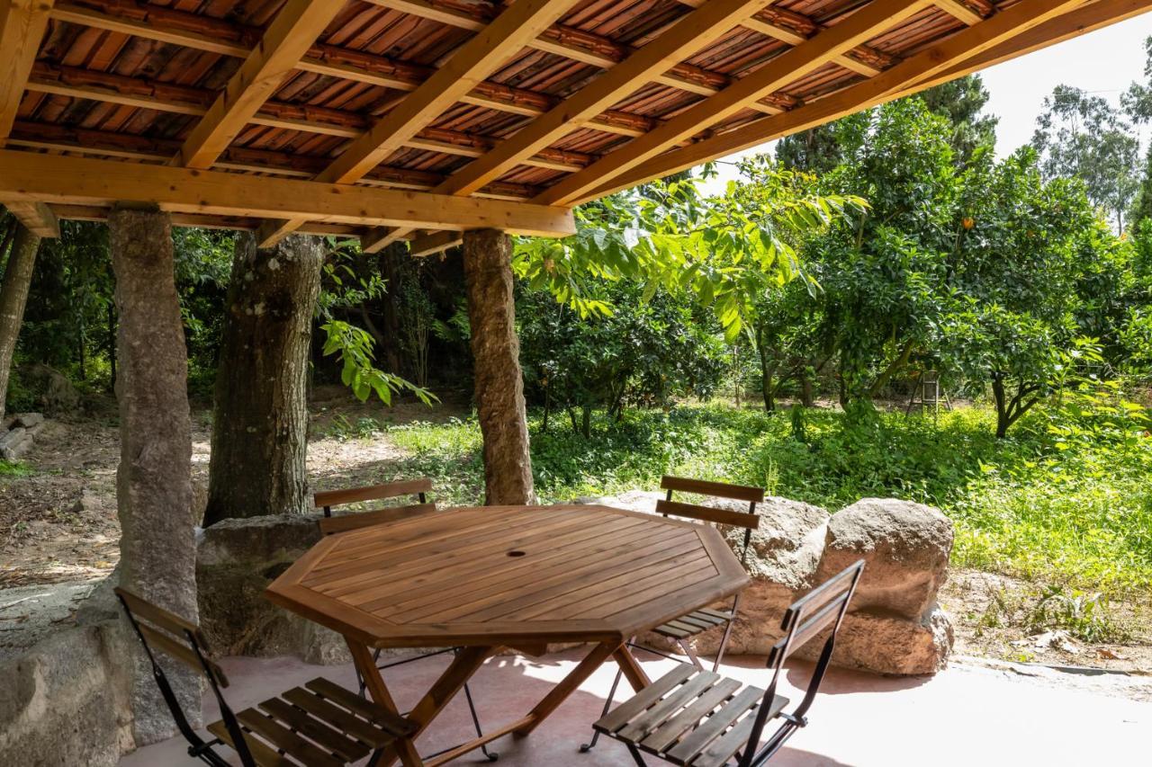 Casas Do Capitao - Paiva Valley - Pool And Nature Castelo de Paiva Zewnętrze zdjęcie